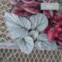 product-274891-1789482282-TRI05-0000064^6